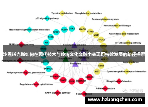 沙恩诺克斯如何在现代技术与传统文化交融中实现可持续发展的路径探索