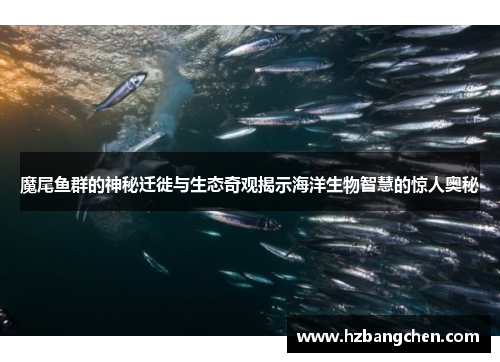 魔尾鱼群的神秘迁徙与生态奇观揭示海洋生物智慧的惊人奥秘