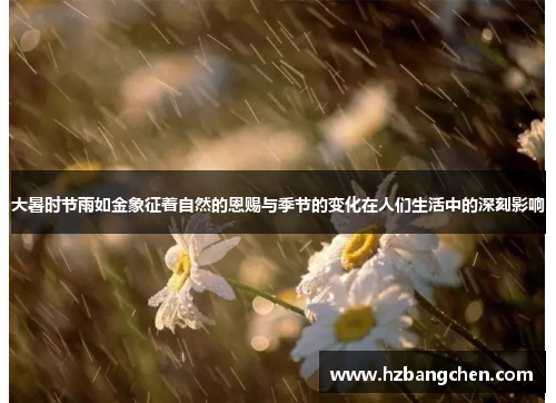 大暑时节雨如金象征着自然的恩赐与季节的变化在人们生活中的深刻影响
