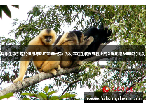 鸟甲生态系统的作用与保护策略研究：探讨其在生物多样性中的关键地位及面临的挑战