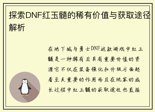 探索DNF红玉髓的稀有价值与获取途径解析